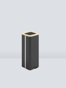 Bambu preto